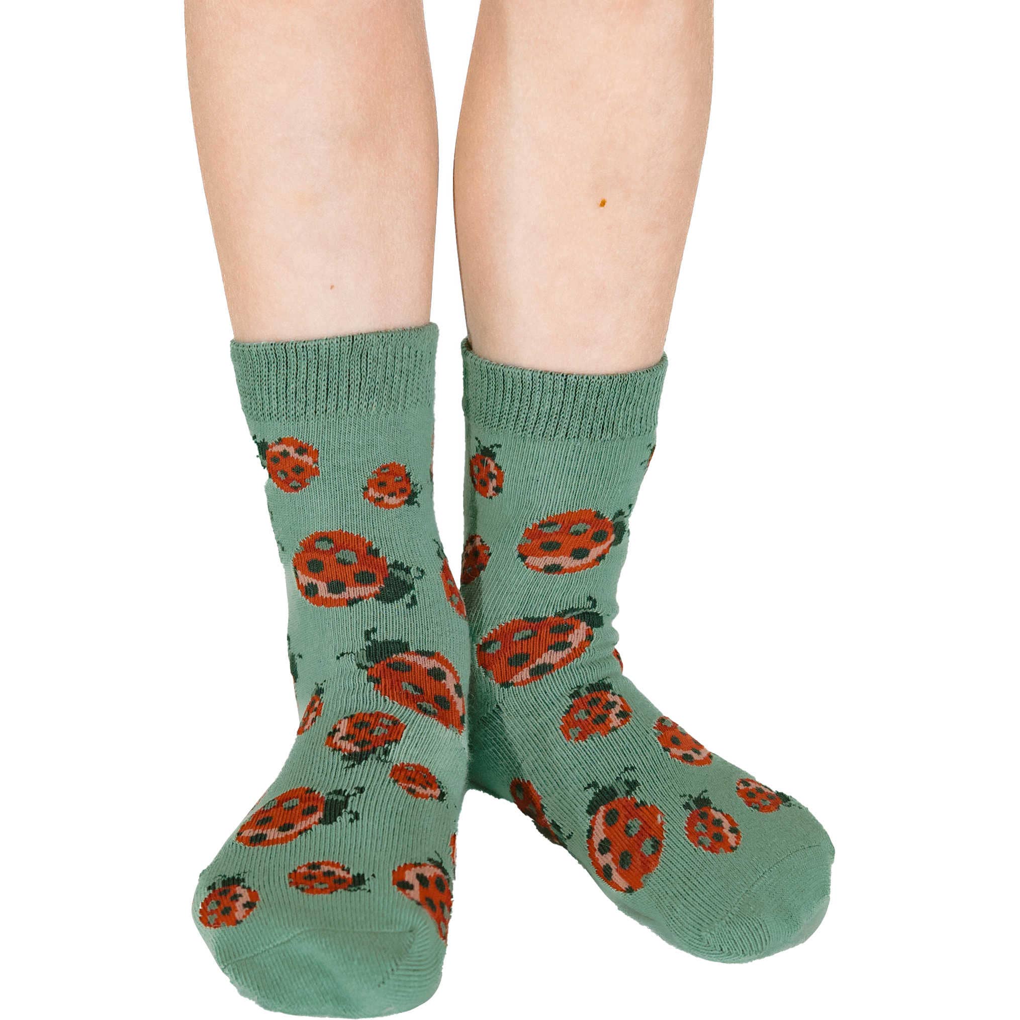 Butterflies, Hedgehogs and Ladybugs Kids Socks / 3-Pack — Good Luck Sock